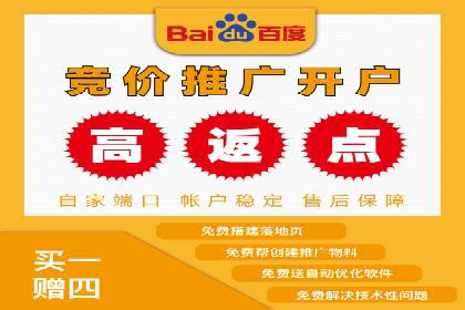 SEM广告投放的技巧与策略——成功案例分享